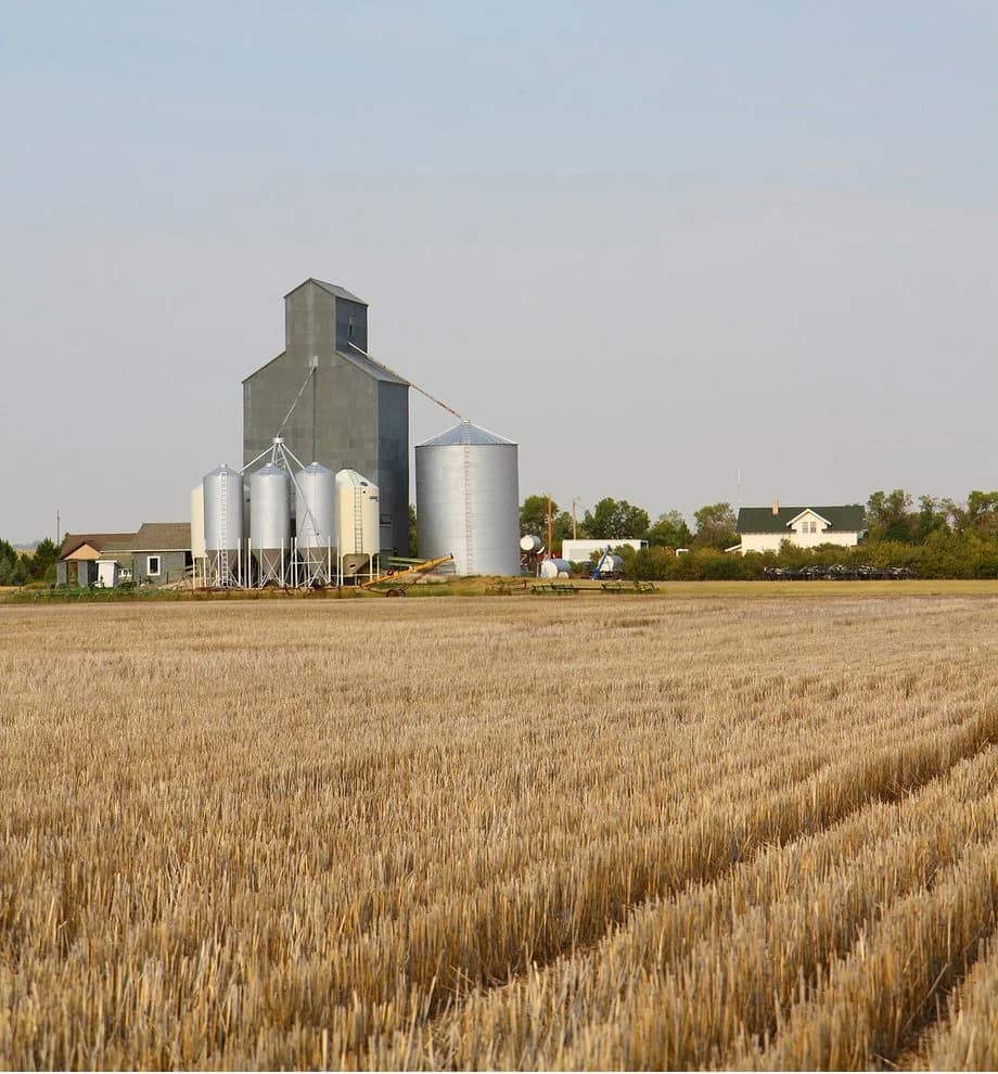 A family-owned wheat farm in Montana